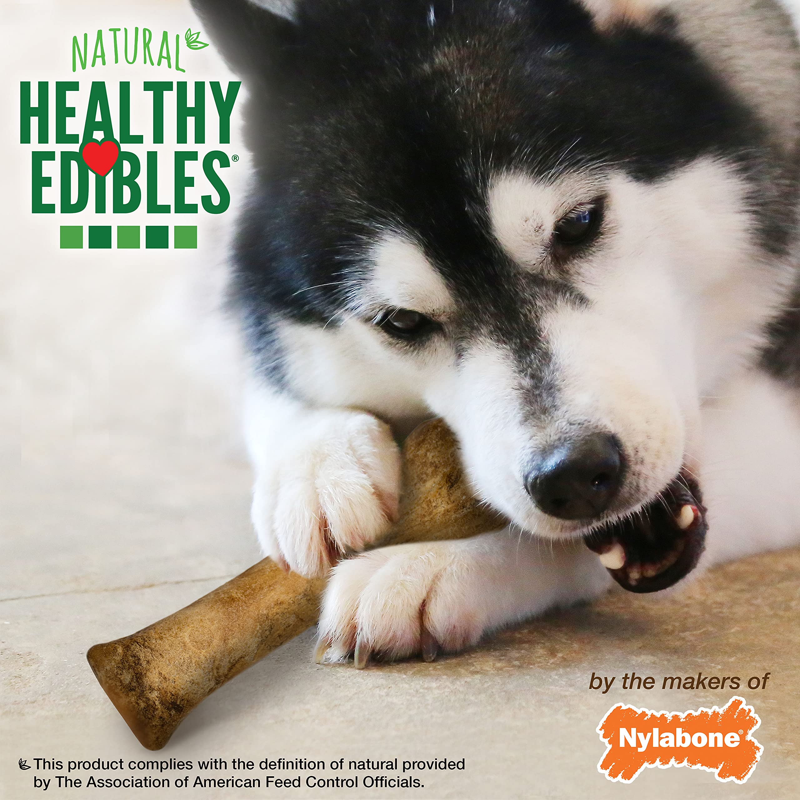 Nylabone Healthy Edibles taille XL pour grands chiens pesant plus de 50 livres.