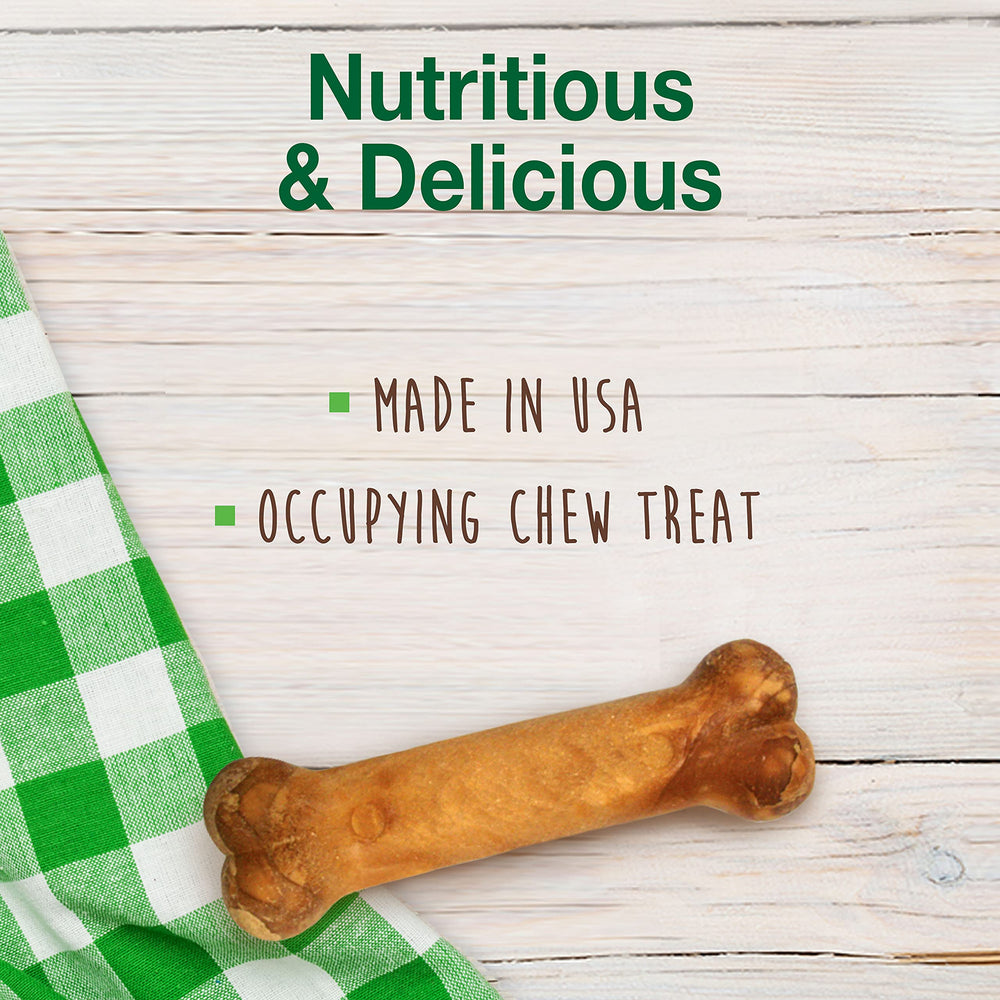 Nylabone Healthy Edibles trois friandises pour chiots, texture durable.