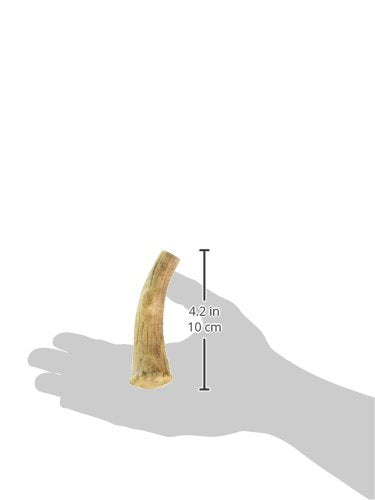 Nylabone Healthy Edibles Wild – fabriqué aux États‑Unis, qualité.