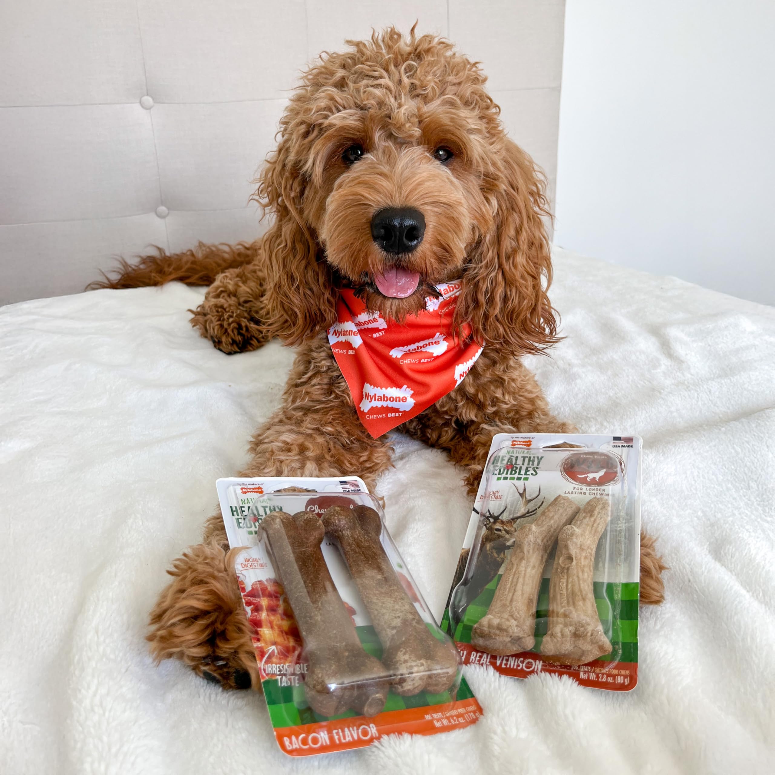 Nylabone Healthy Edibles Wild – os durable pour chiens jusqu’à 50 lb.