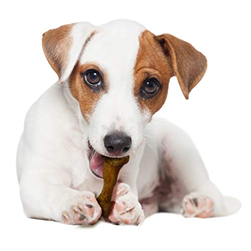 Nylabone Healthy Edibles WILD récompense et entraînement, outil utile pour chiens.