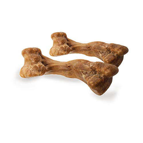 Nylabone Healthy Edibles WILD – parfait pour les moments de mastication quotidiens.