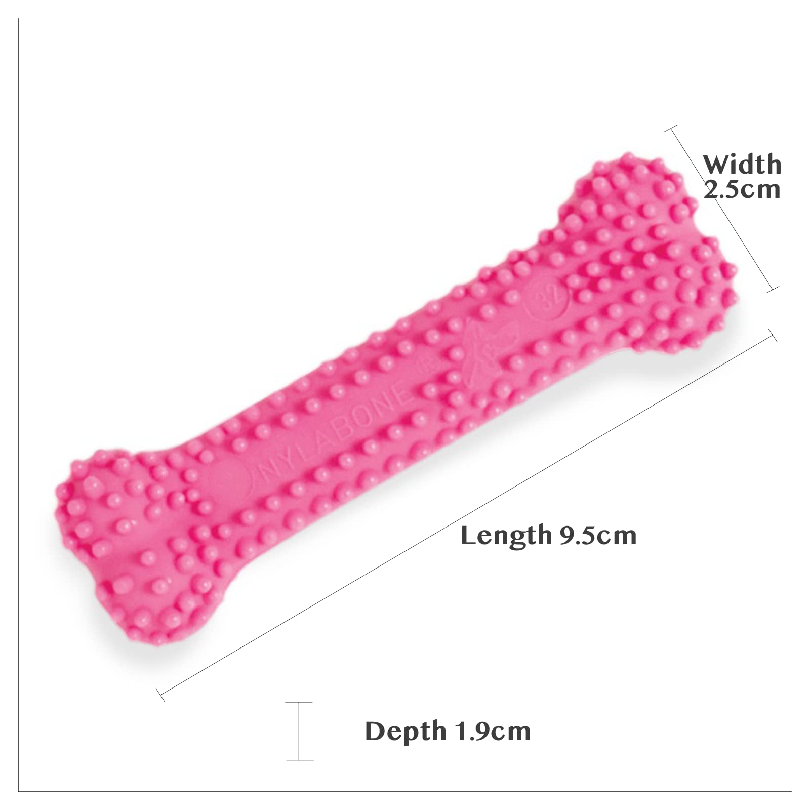 Nylabone jeu-cognitif chiot: stimule mentalement pendant les sessions de mastication.