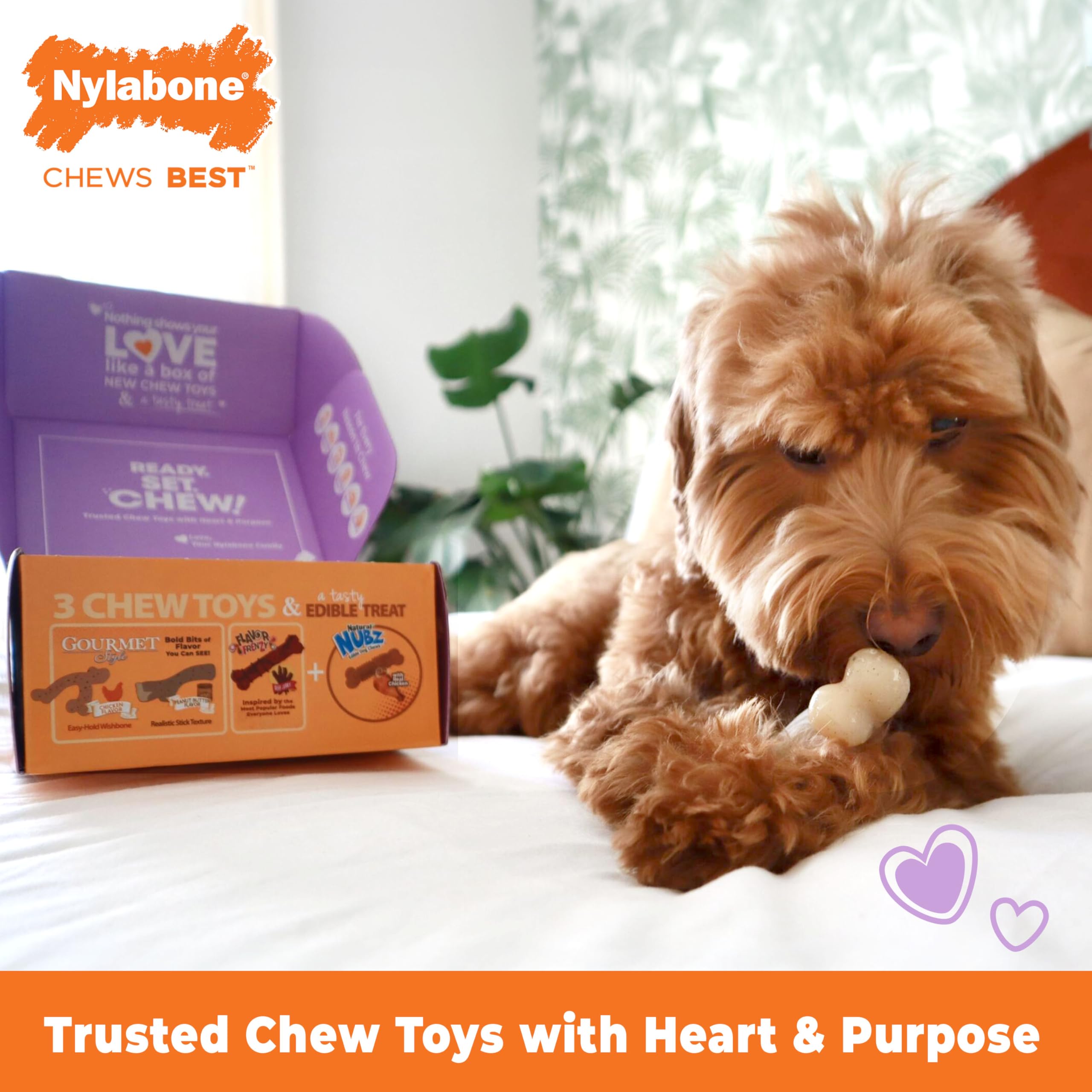 Jouet arc nylabone saveurs boeuf pour mâcher durable et nettoyer les dents.