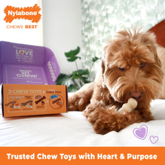Jouet arc nylabone saveurs boeuf pour mâcher durable et nettoyer les dents.