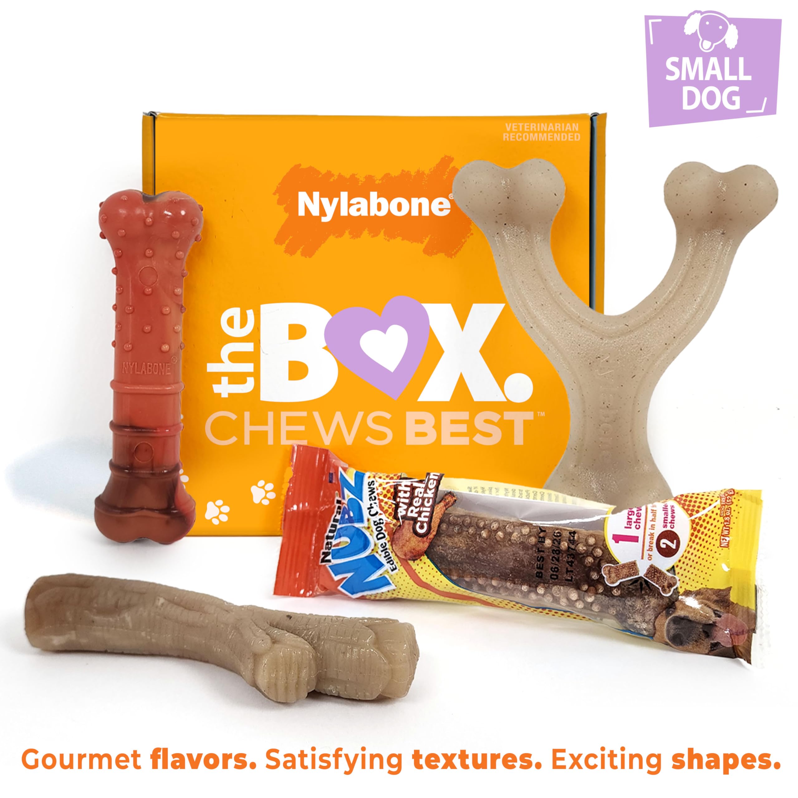Jouet baton nylabone saveurs poulet pour mâcher et stimulation sensorielle.