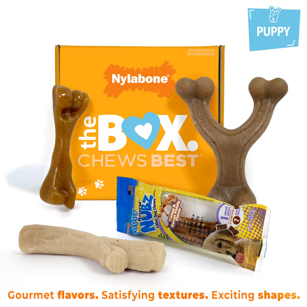 Jouet Nylabone chiot Wishbone, prise facile et plaisir de mordiller.