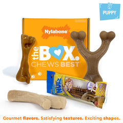 Jouet Nylabone chiot Wishbone, prise facile et plaisir de mordiller.