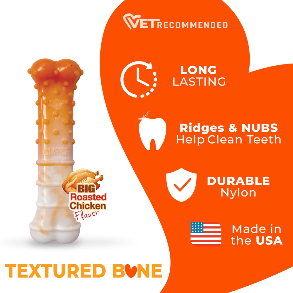 Nylabone jouet-dur-pour-agressifs, conçu pour les mâcheurs puissants et les sessions prolongées.