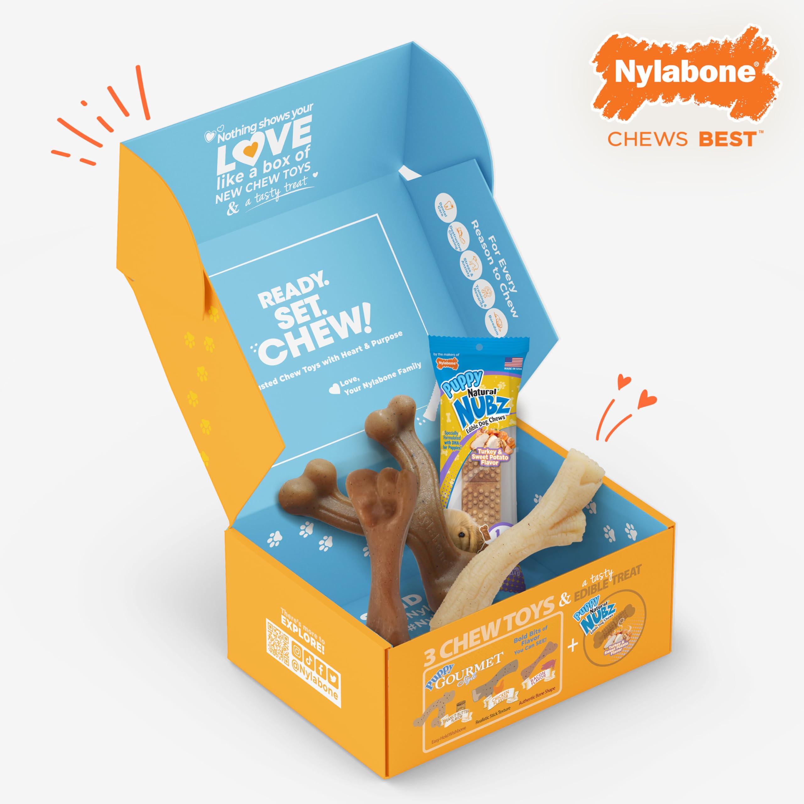 Jouet durable Nylabone pour chiot, soutien potentiel à une mastication maîtrisée.