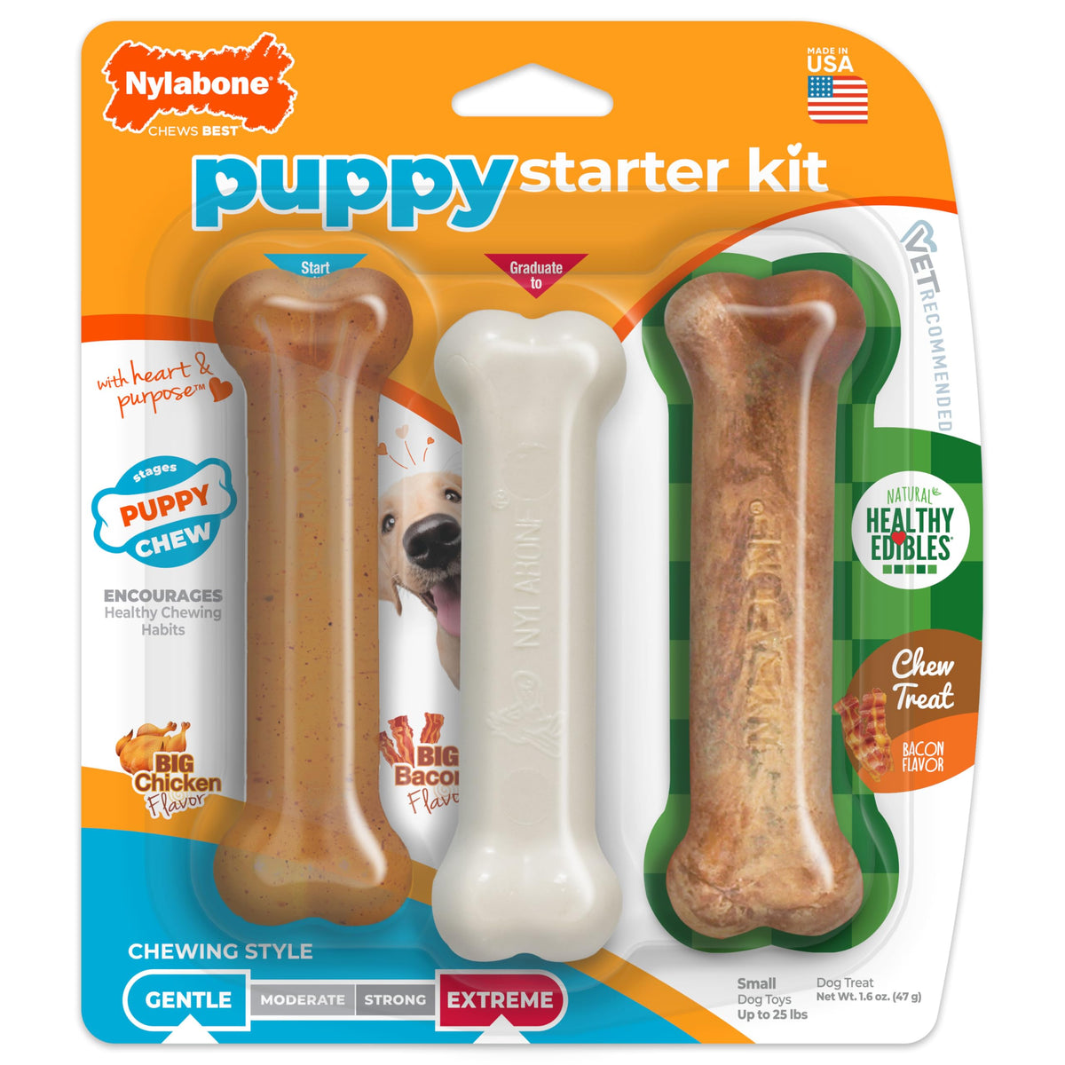 Kit Nylabone chiot démarrage — ensemble de jouets pour chiots, mastication saine.