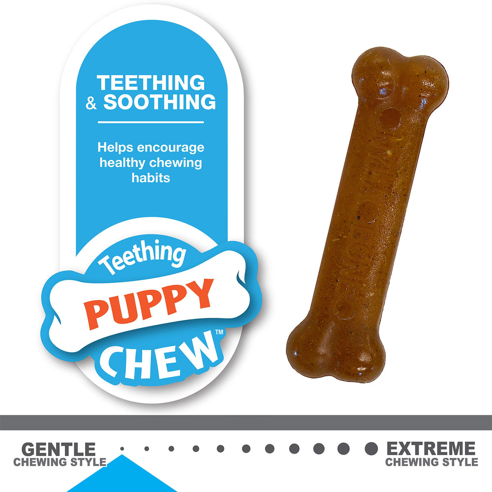 Kit Nylabone chiot dentition progressive, douceur puis résistance adaptée.