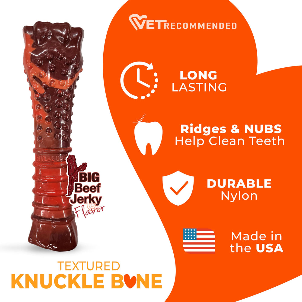 Nylabone Power Chew, saveur boeuf jerky qui motive la mastication.