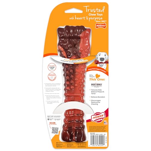 Nylabone Power Chew, texte dentaire et entretien bucco-dentaire.
