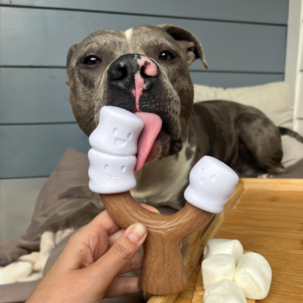 Nylabone Marshmallow Stick peut aider l’hygiène dentaire lors du mâchage.