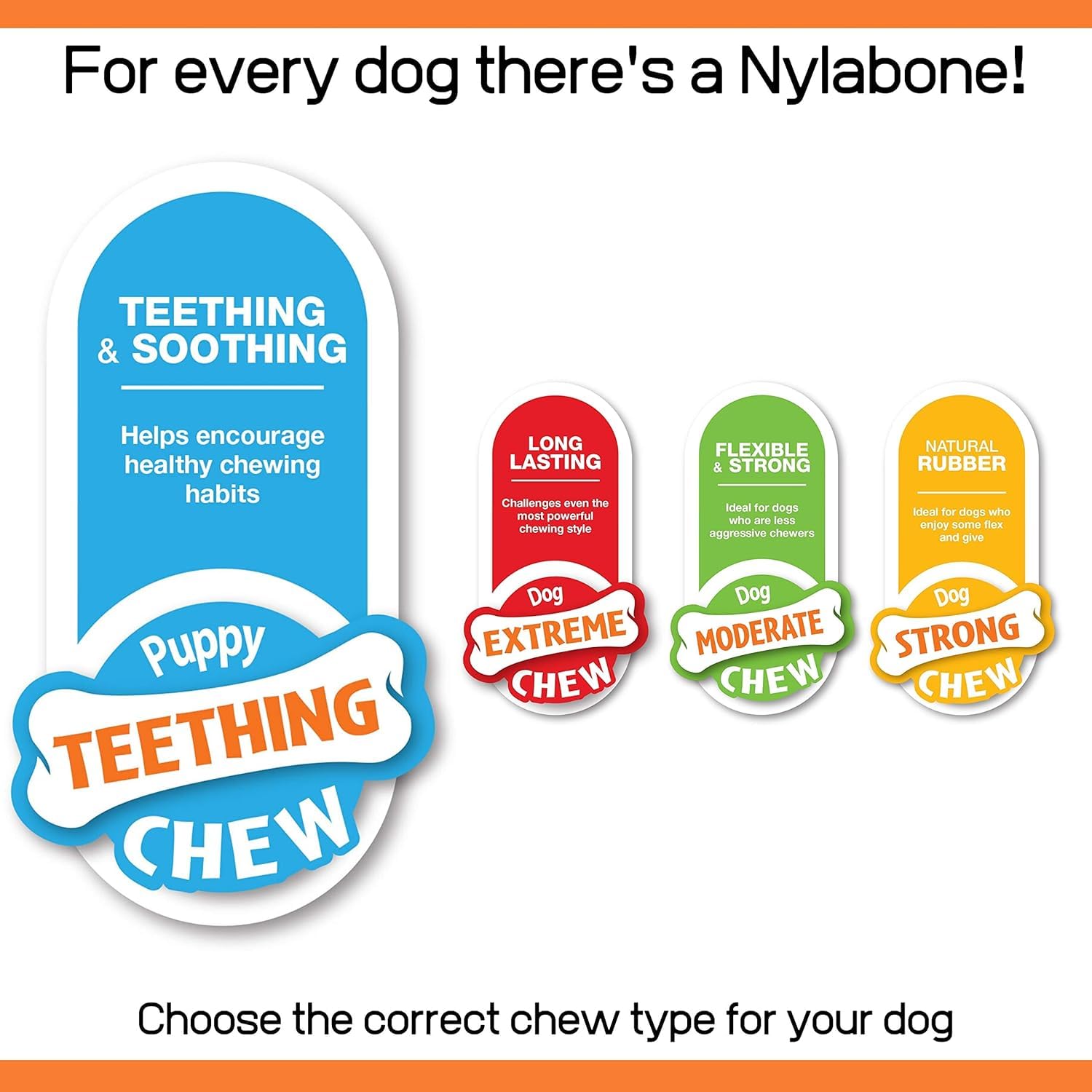 Nylabone Massage gencives chiot caoutchouc vanille, favorise le confort lors de la poussée.