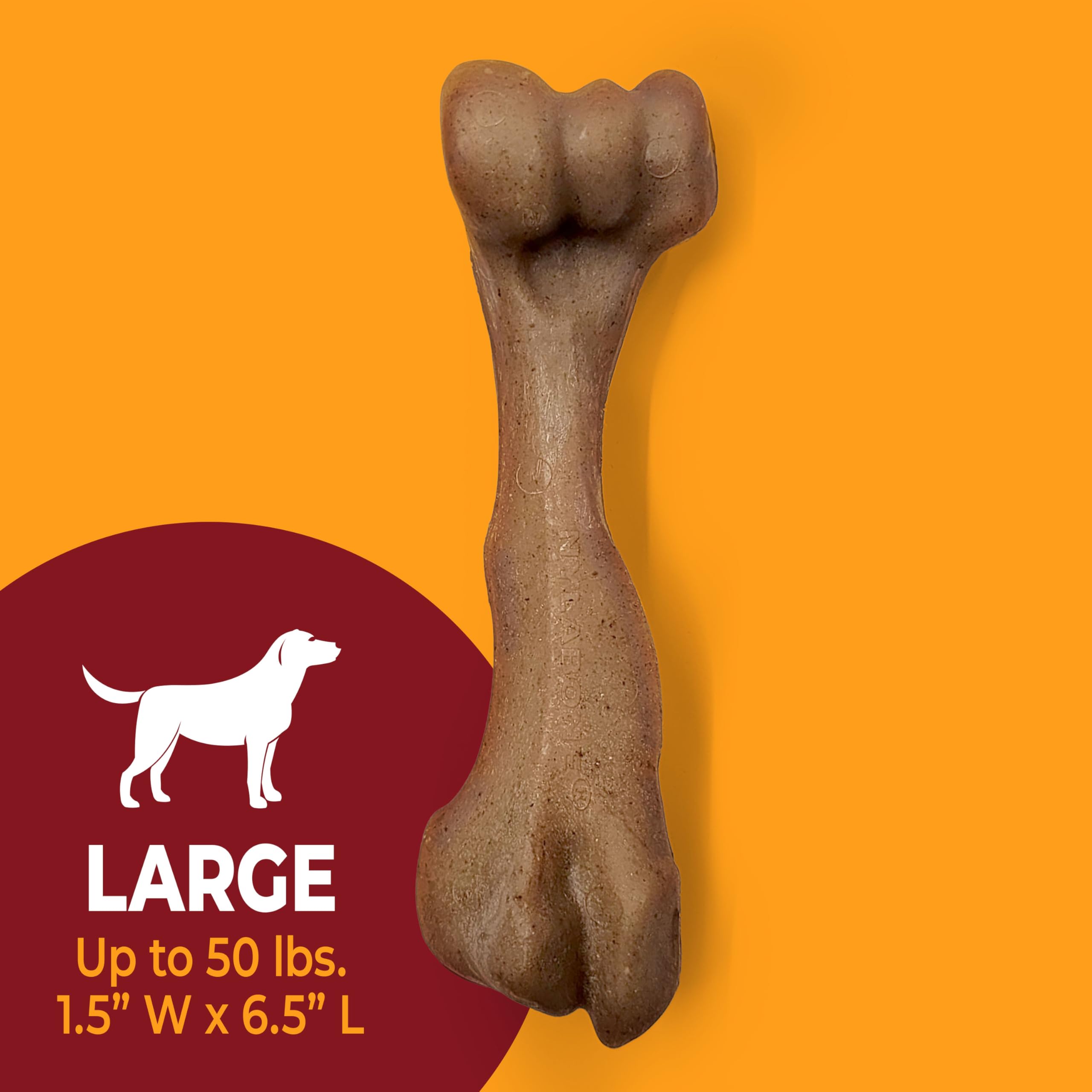 Nylabone mordant-robuste-pour-chiens : texture résistante qui occupe l'animal.