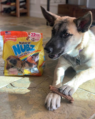 Nylabone Nubz détail texture-nubs, met en évidence la texture pour le nettoyage pendant la mastication