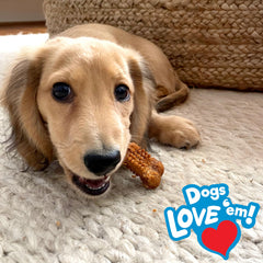 Nylabone Nubz fabrique aux Etats-Unis: qualité et sécurité pour chiots.