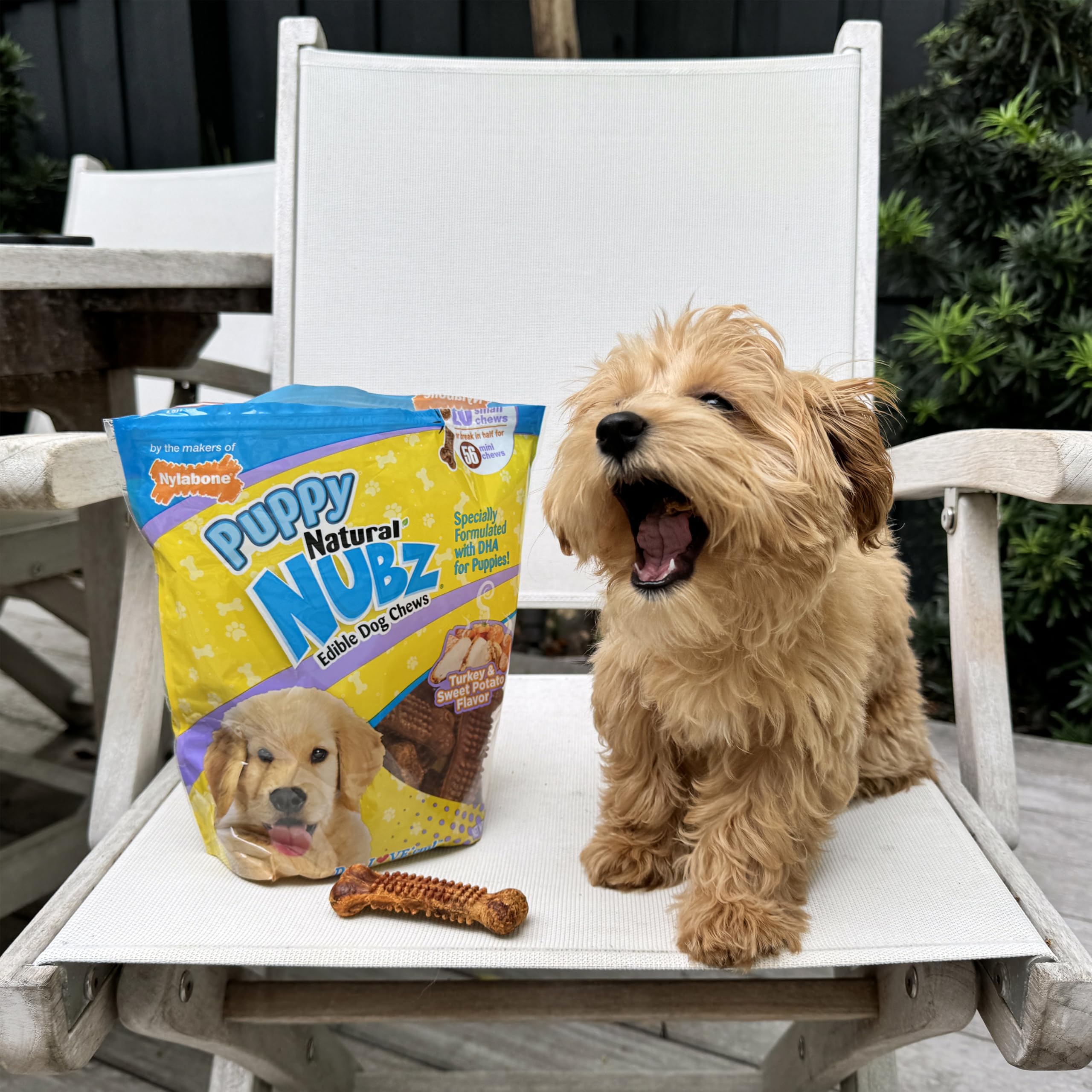 Nylabone Nubz fabriqué aux États-Unis, assurance de traçabilité et qualité.