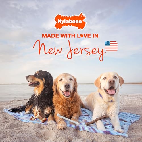 Nylabone Nubz Flavor Bursts: goût bacon et fromage apprécié par les compagnons canins.