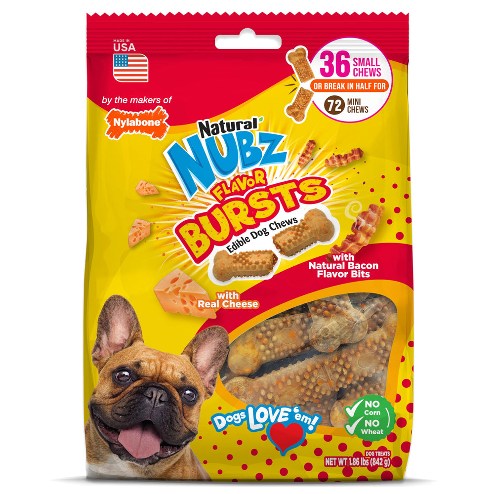 Nylabone Nubz Flavor Bursts: gros plan sur l’os croquant au fromage et bacon.
