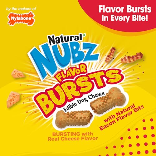 Nylabone Nubz - paquet de 36 friandises faciles à partager.