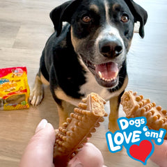 Nylabone Nubz Flavor Bursts: friandises fabriquées aux États‑Unis pour une expérience de mastication fiable.
