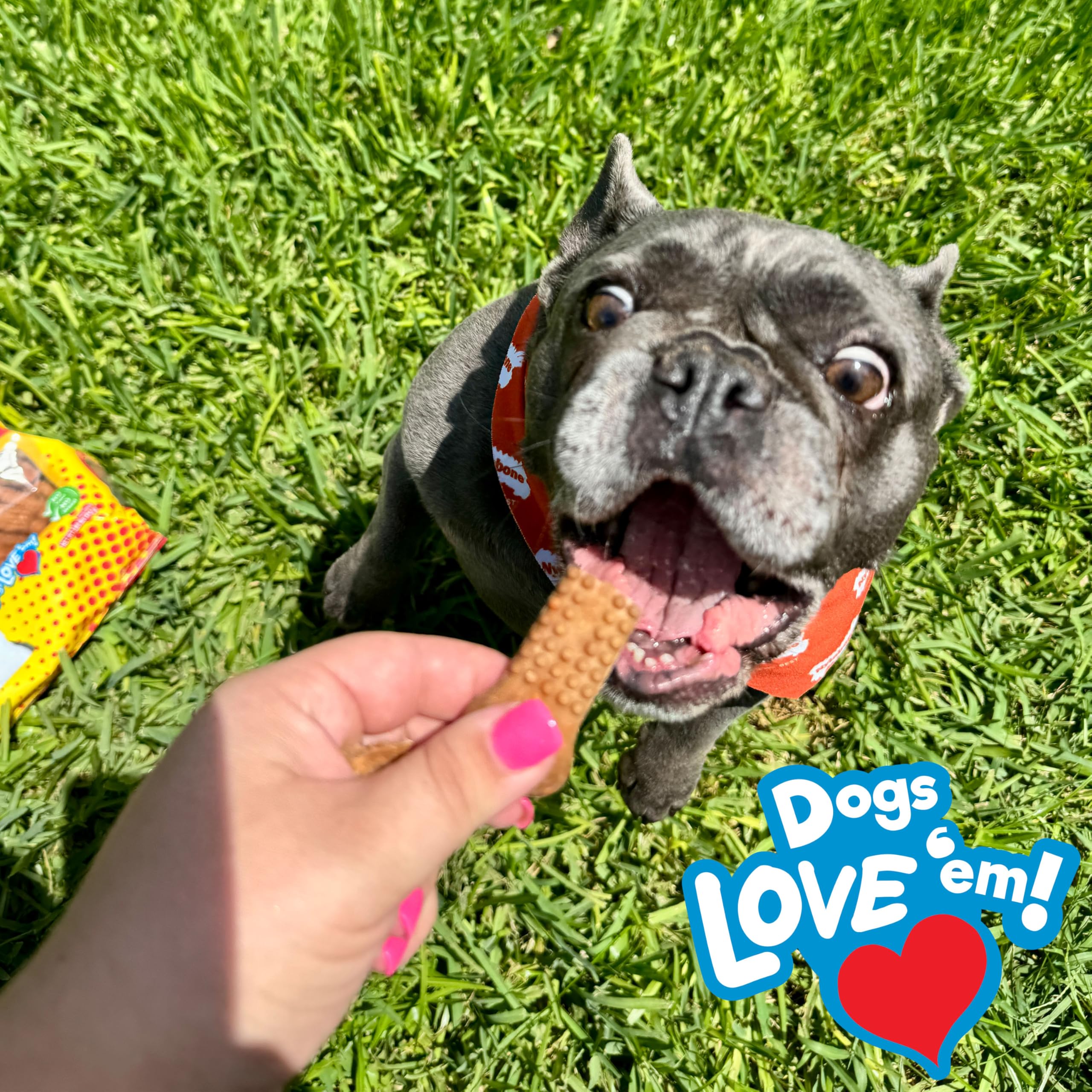 Nylabone Nubz sans colorants artificiels, option naturelle pour petites races.