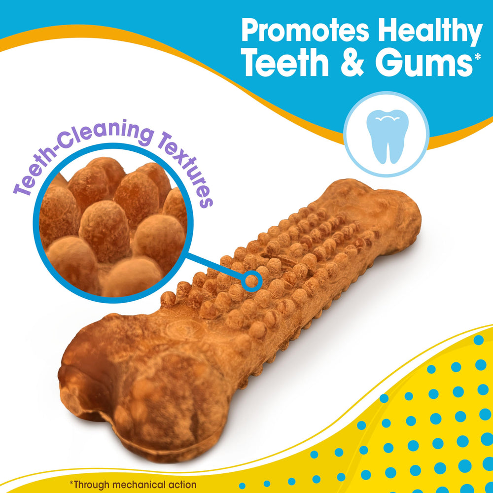 Nylabone Nubz texture douce, idéale pour dents en développement.