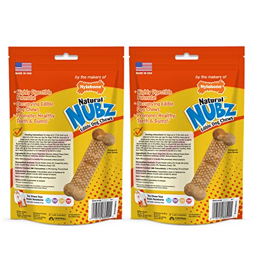 Nylabone Nubz usage quotidien, mastications contrôlées et plaisir.