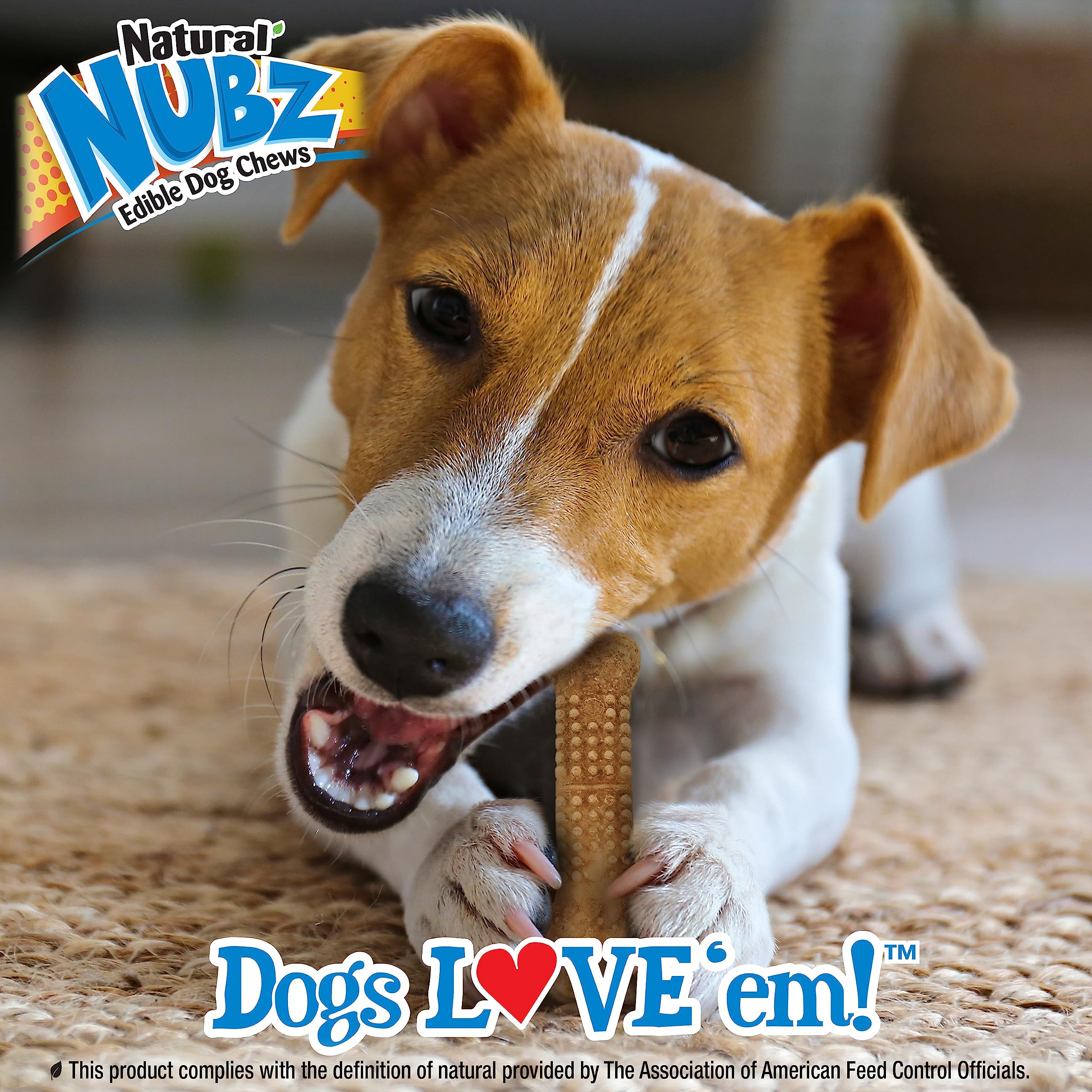 Nylabone Nubz Wild soutien potentiel à l'hygiène dentaire.