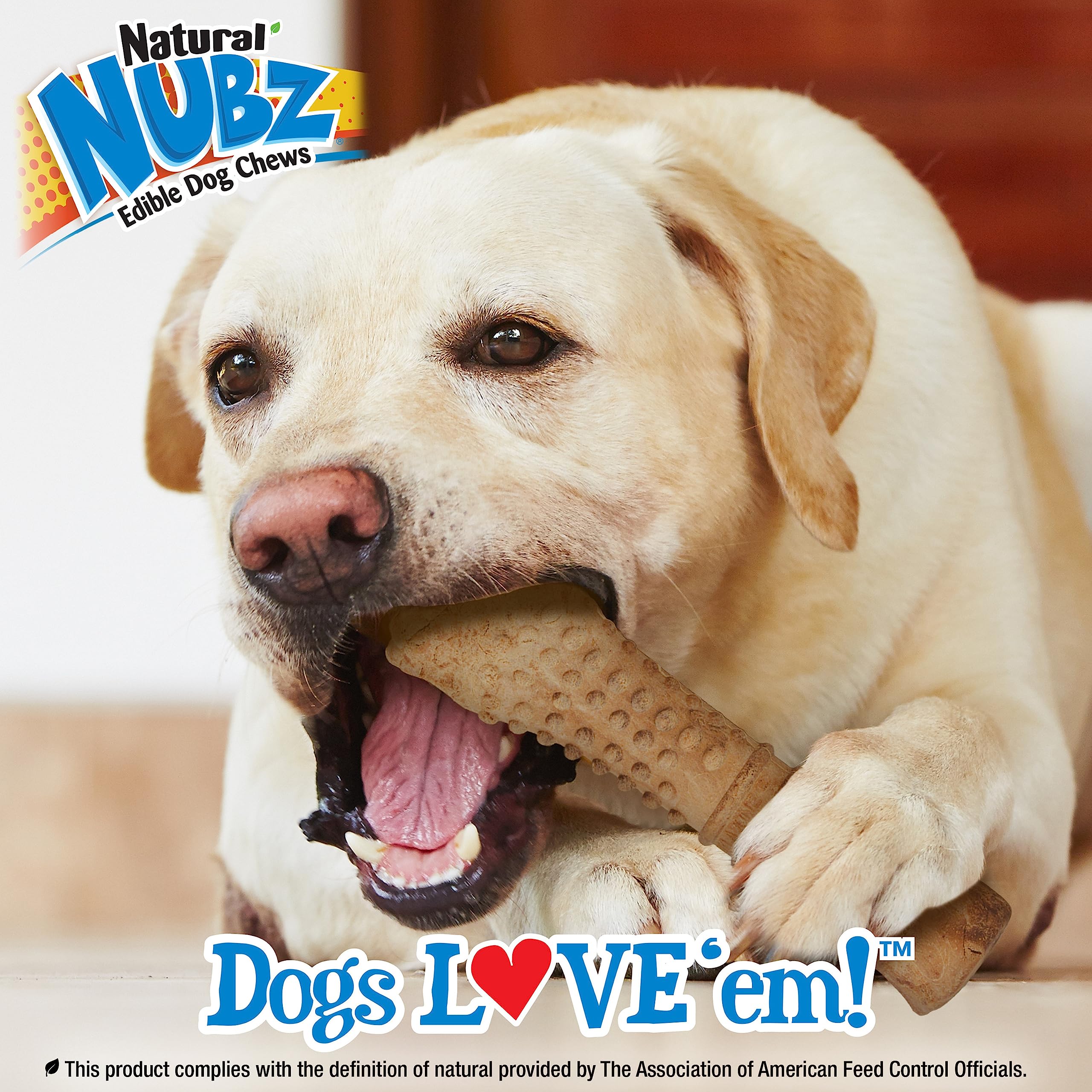 Dimensions de l’os: 7,75 pouces de long et 2,25 pouces de large