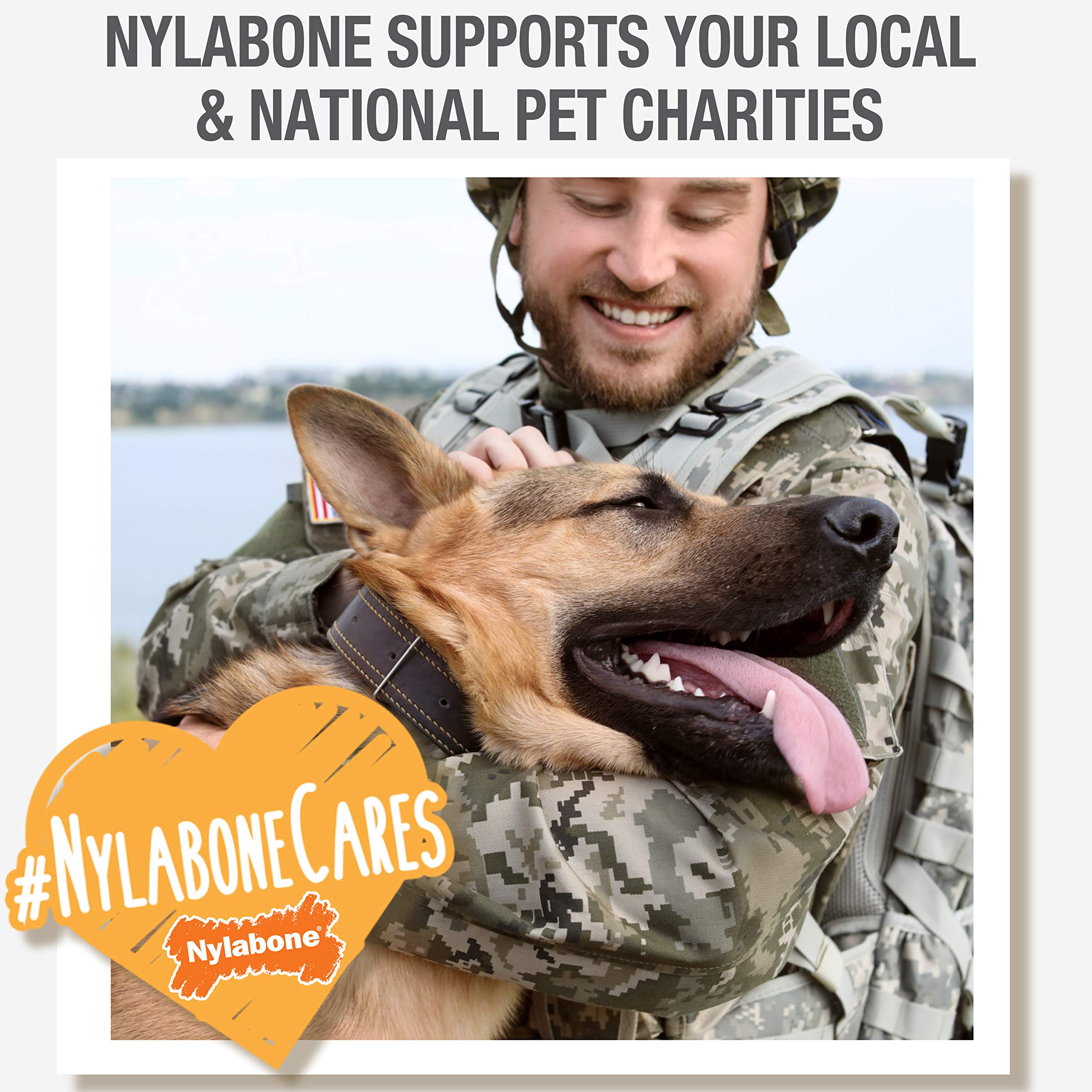 Nylabone Nubz Wild saveur naturelle pour plaisir durable.