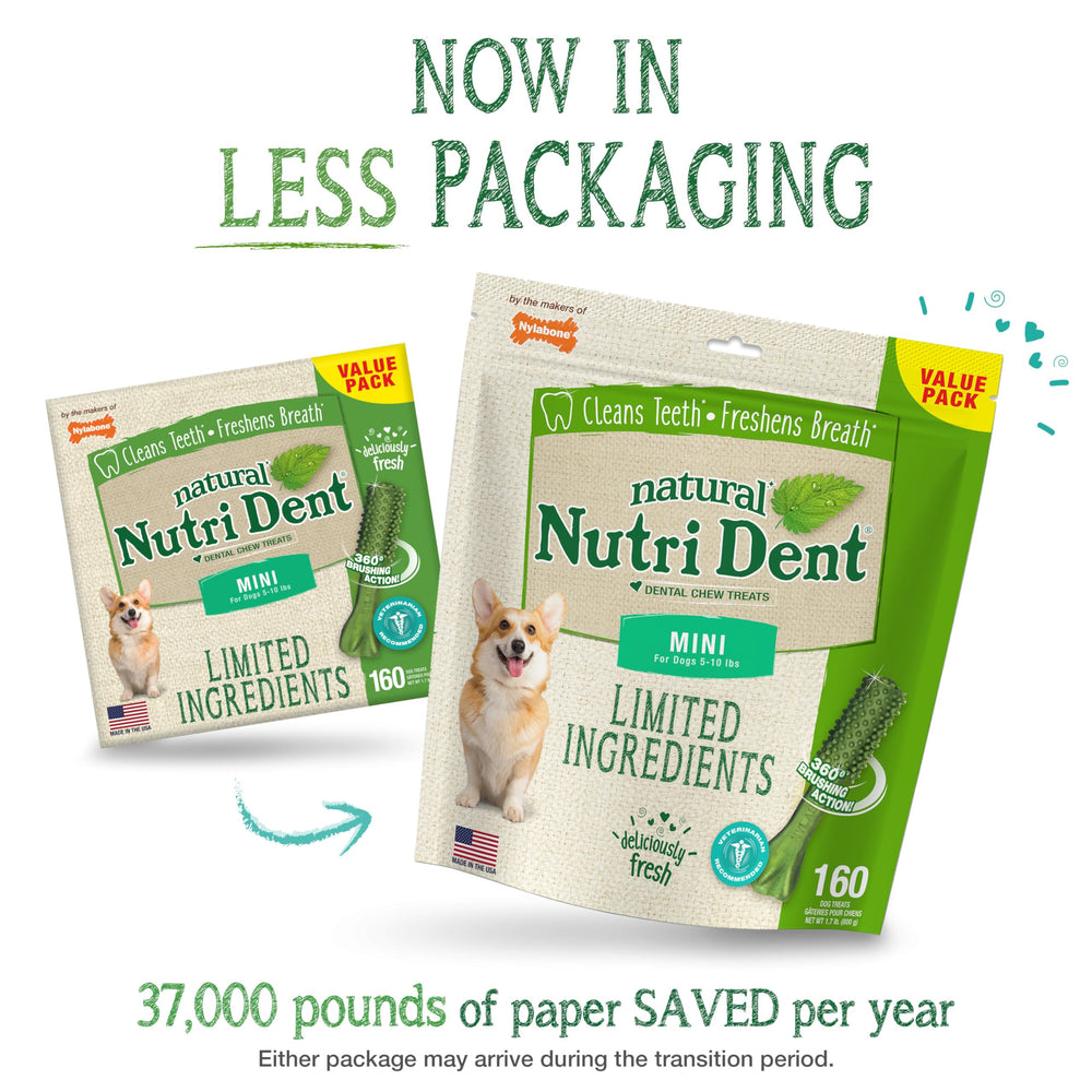 Nutri Dent, bosses nettoyantes 360°, nettoie dents et haleine.