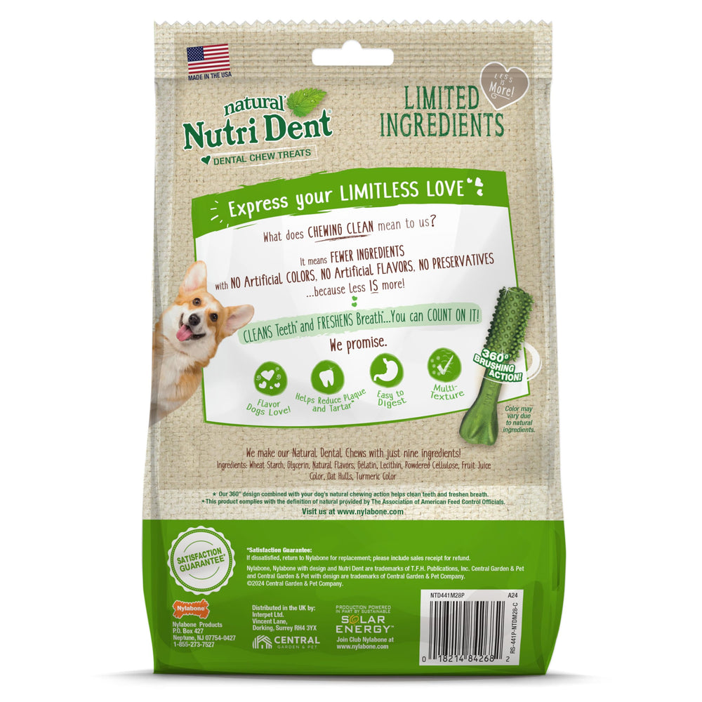 Nylabone Nutri Dent format-petit: idéal pour petites races ou chiots.