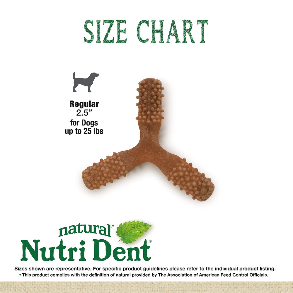 Nylabone Nutri Dent, goût filet mignon, friandise savoureuse préférée des chiens.