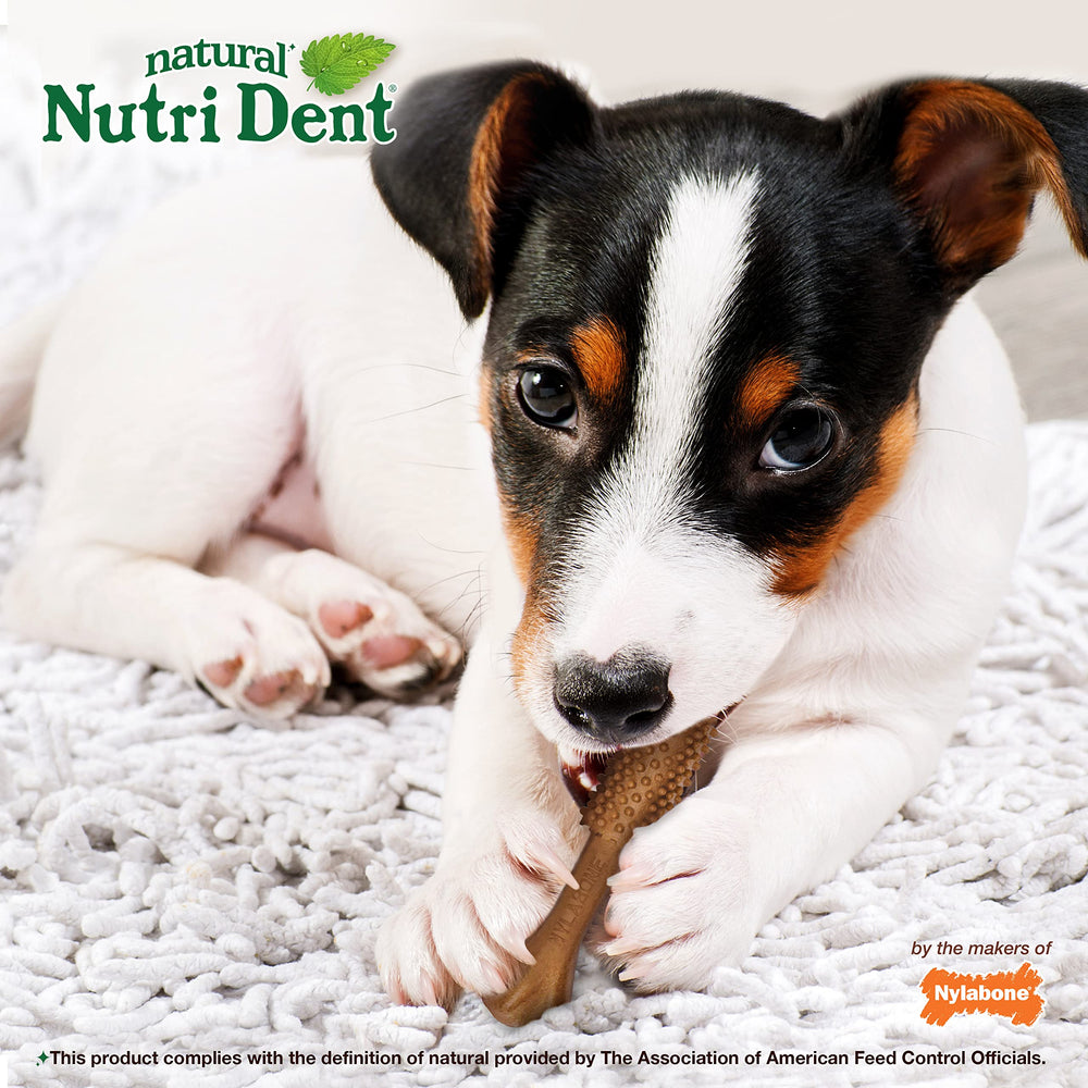 Nylabone Nutri Dent haleine plus fraîche pendant la mastication
