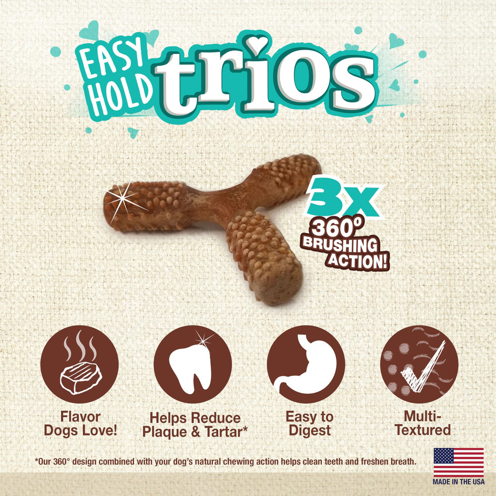 Nylabone Nutri Dent, ingrédients limités, friandise digestible pour petits chiens.
