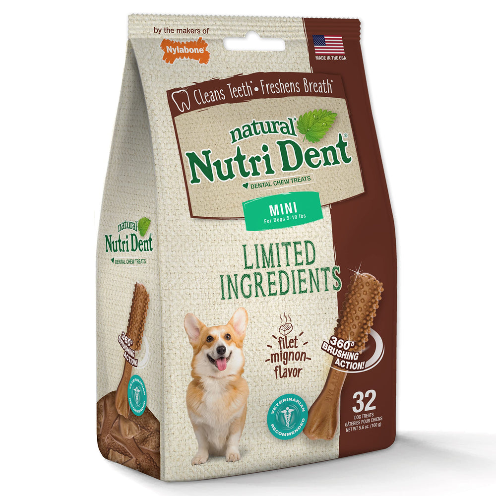 Nylabone Nutri Dent Mini — bouchées faciles à digérer.