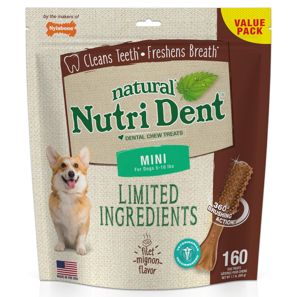 Nylabone Nutri Dent mini avec texture picots nettoyants 360 degrés.