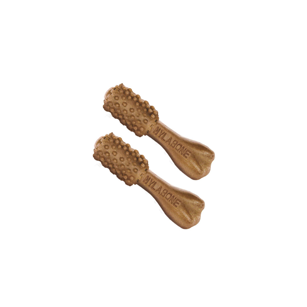 Nylabone Nutri Dent mini nettoyage 360 degrés des dents.