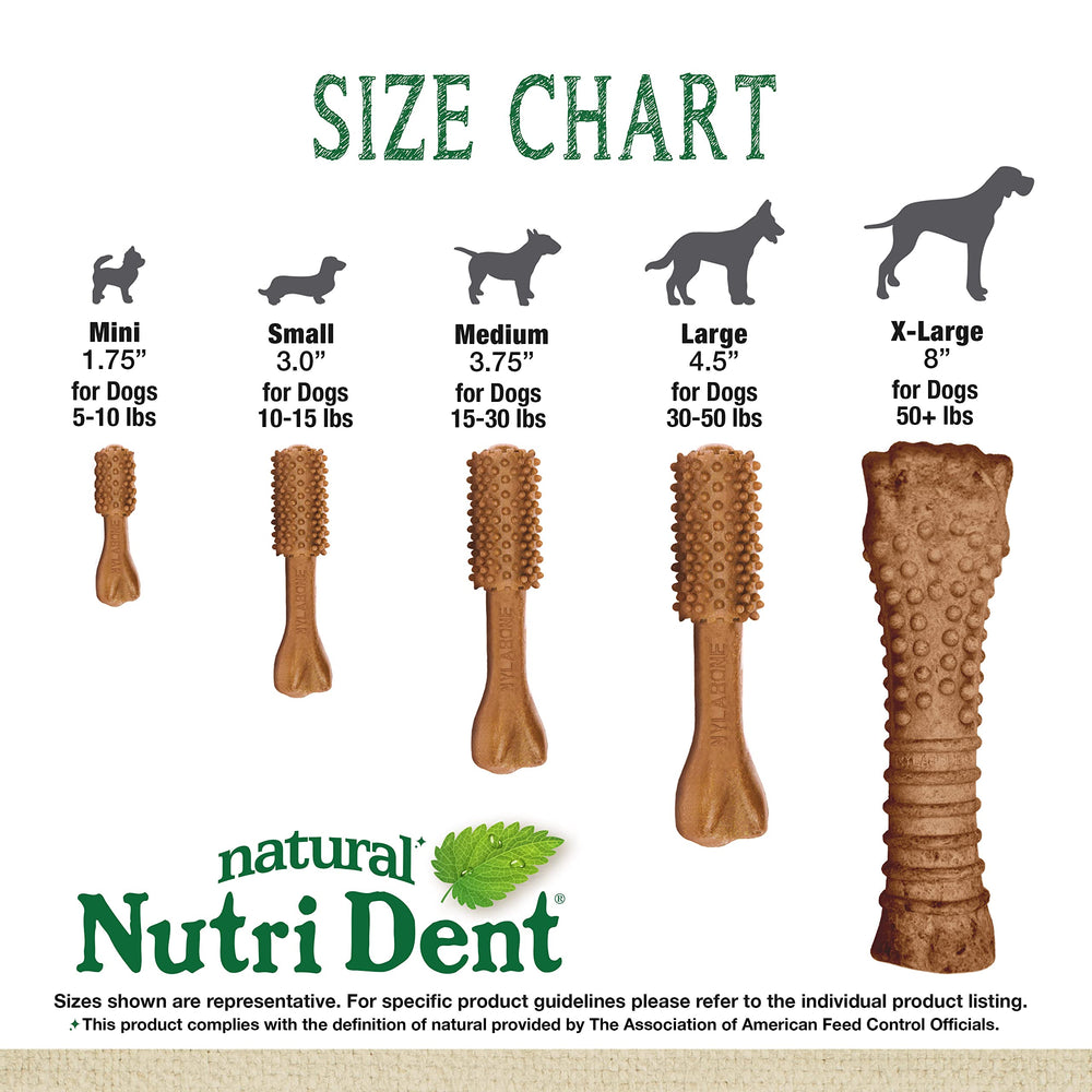 Nylabone Nutri Dent mini sans colorants artificiels.