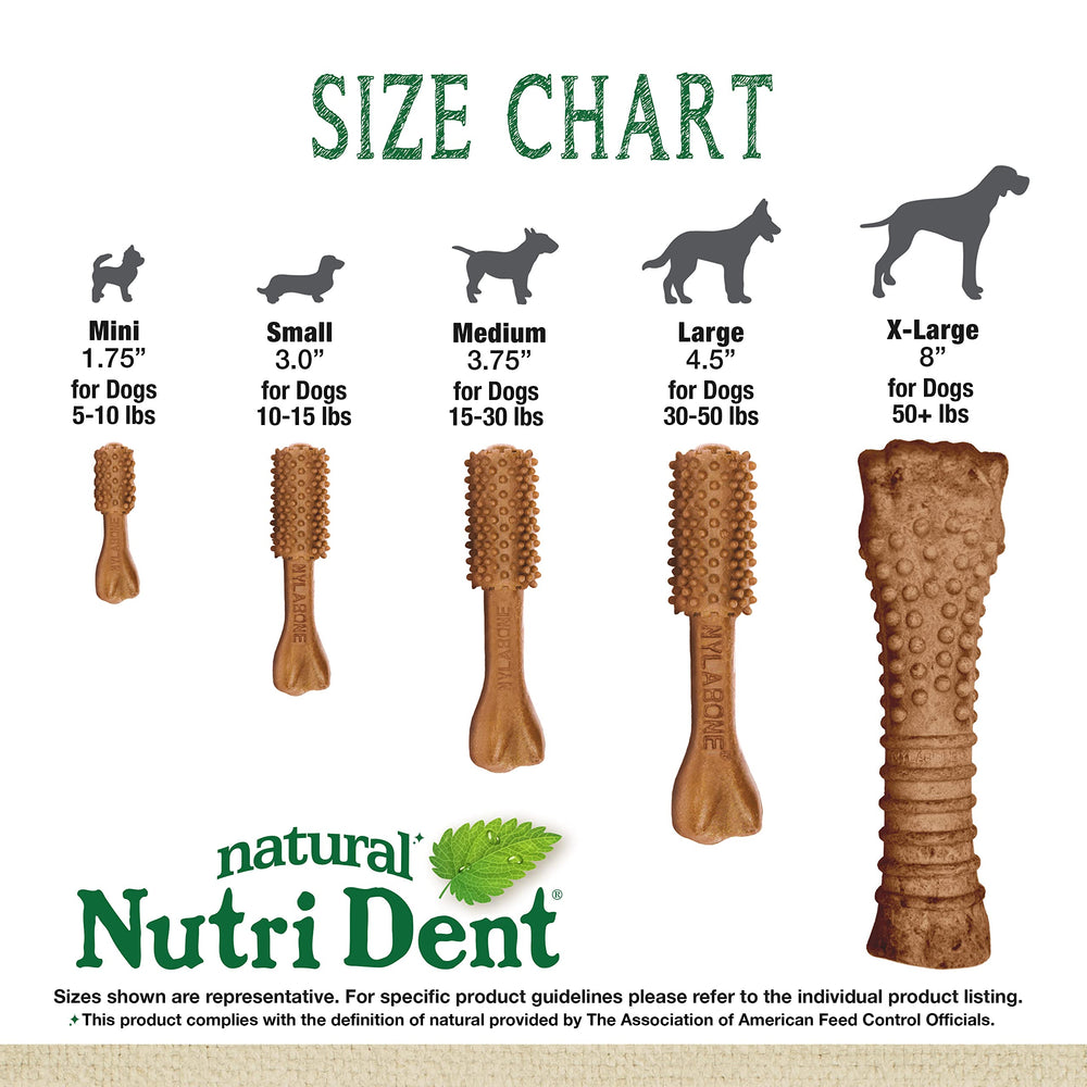 Nylabone Nutri Dent Mini — saveur filet mignon appréciée par les chiens.