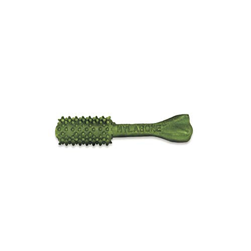 Nylabone Nutri Dent odeur-durable: fraîcheur qui persiste après la mastication.
