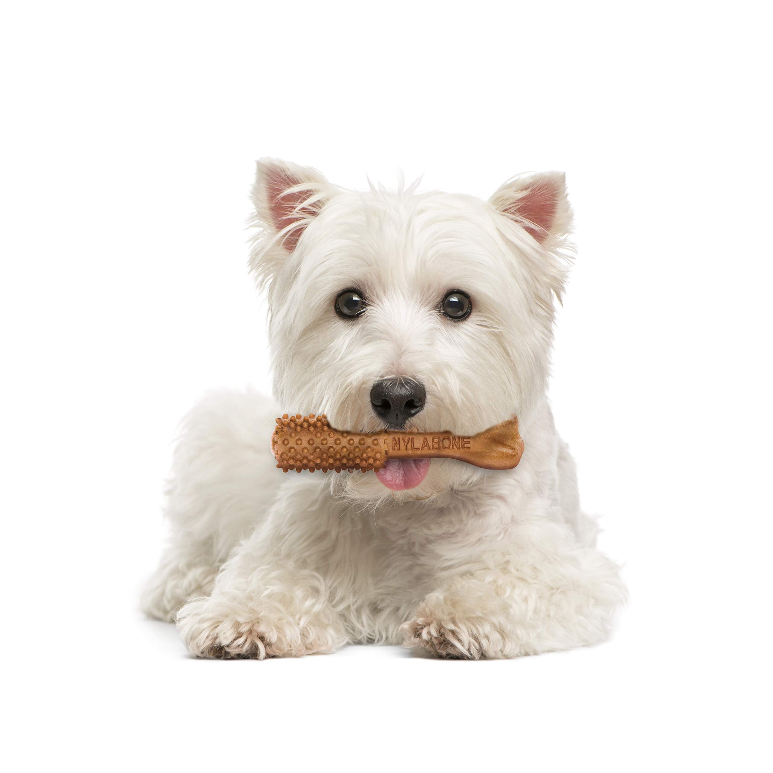 Nylabone Nutri Dent pour chiens jusqu à 15 livres