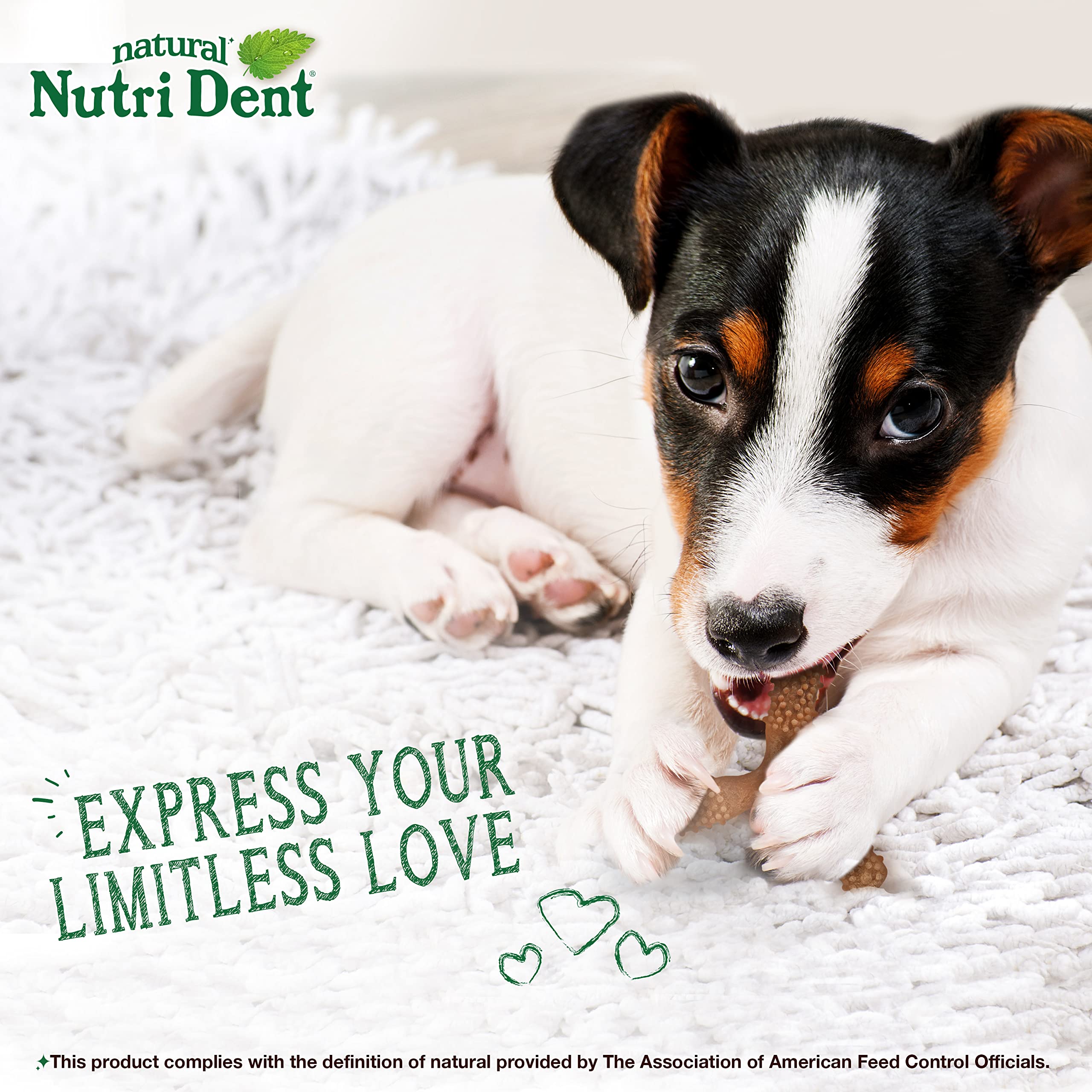 Nylabone Nutri Dent, adapté pour petits chiens jusqu'à 25 livres.