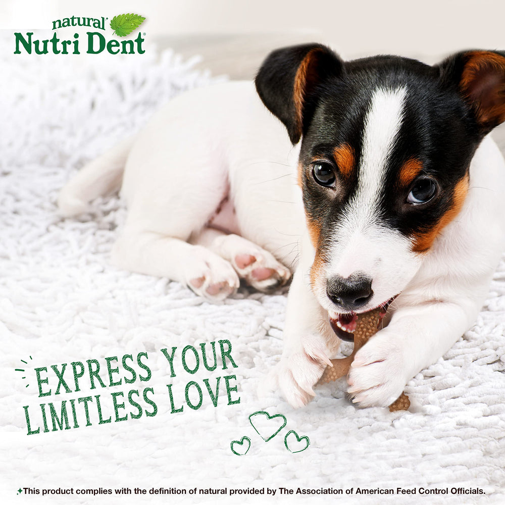 Nylabone Nutri Dent, adapté pour petits chiens jusqu'à 25 livres.