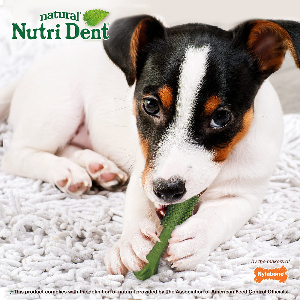 Nylabone Nutri Dent – sans additifs artificiels pour une bouche saine.