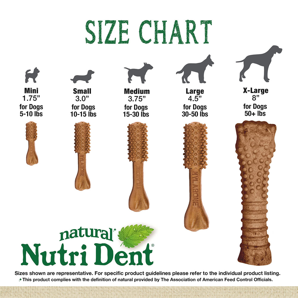Nylabone Nutri Dent sans colorants mini: option naturelle pour dents et gencives